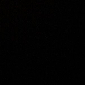 Meet your Posher, Trevor